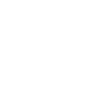 Nexus Hub Logo